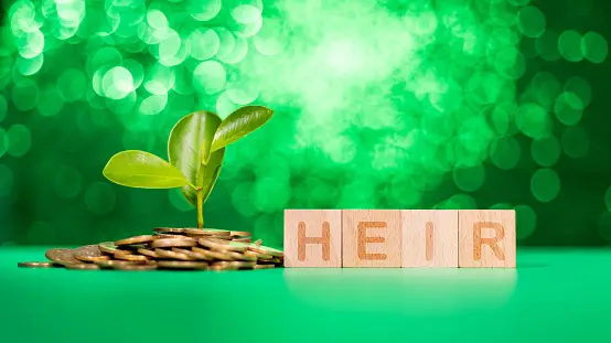 in texas, the convergence of real estate and probate litigation forms a complex web of legal challenges that executors, beneficiaries, and legal professionals must navigate