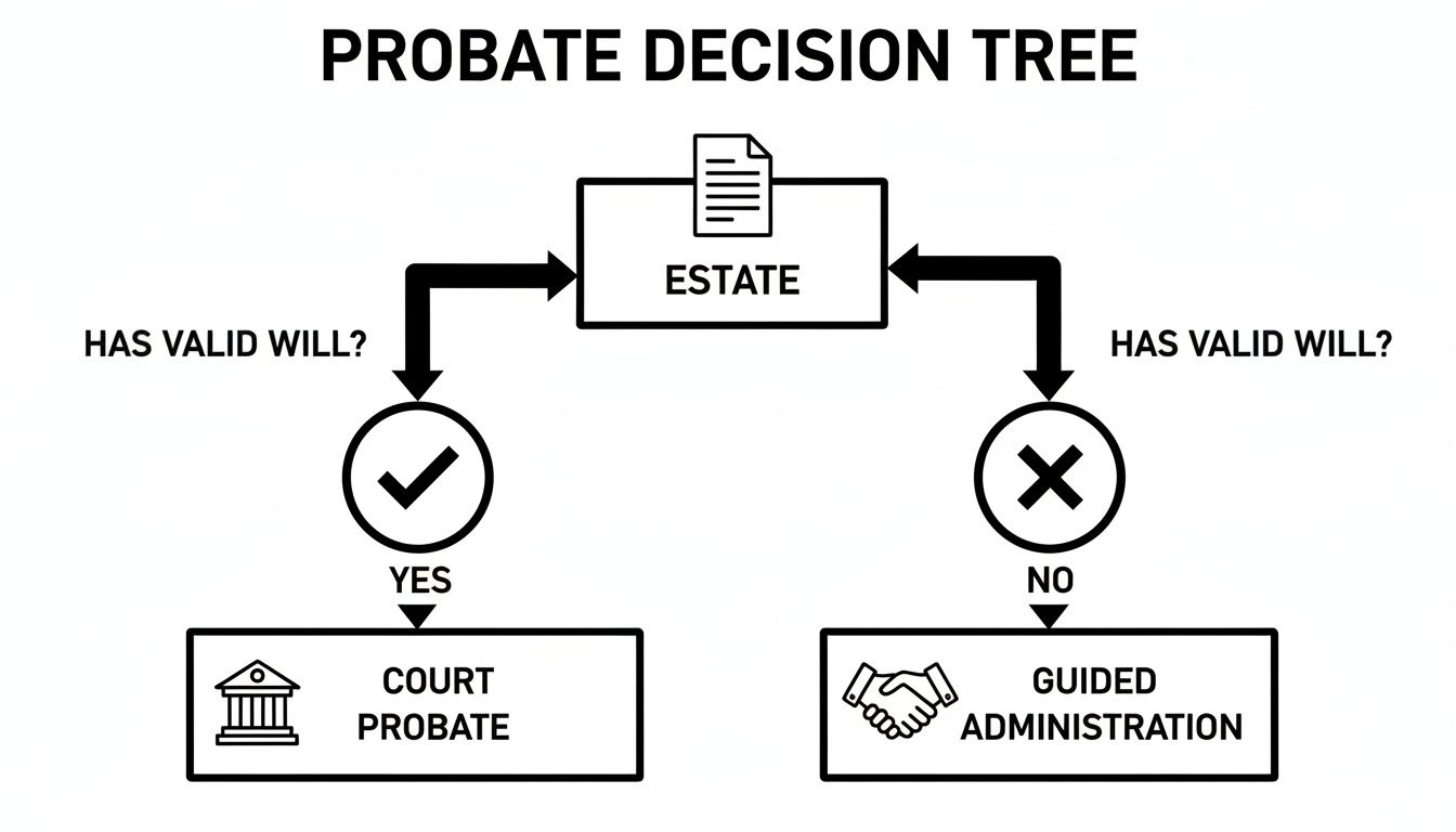 Flowchart illustrating the probate process based on whether an estate has a valid will.