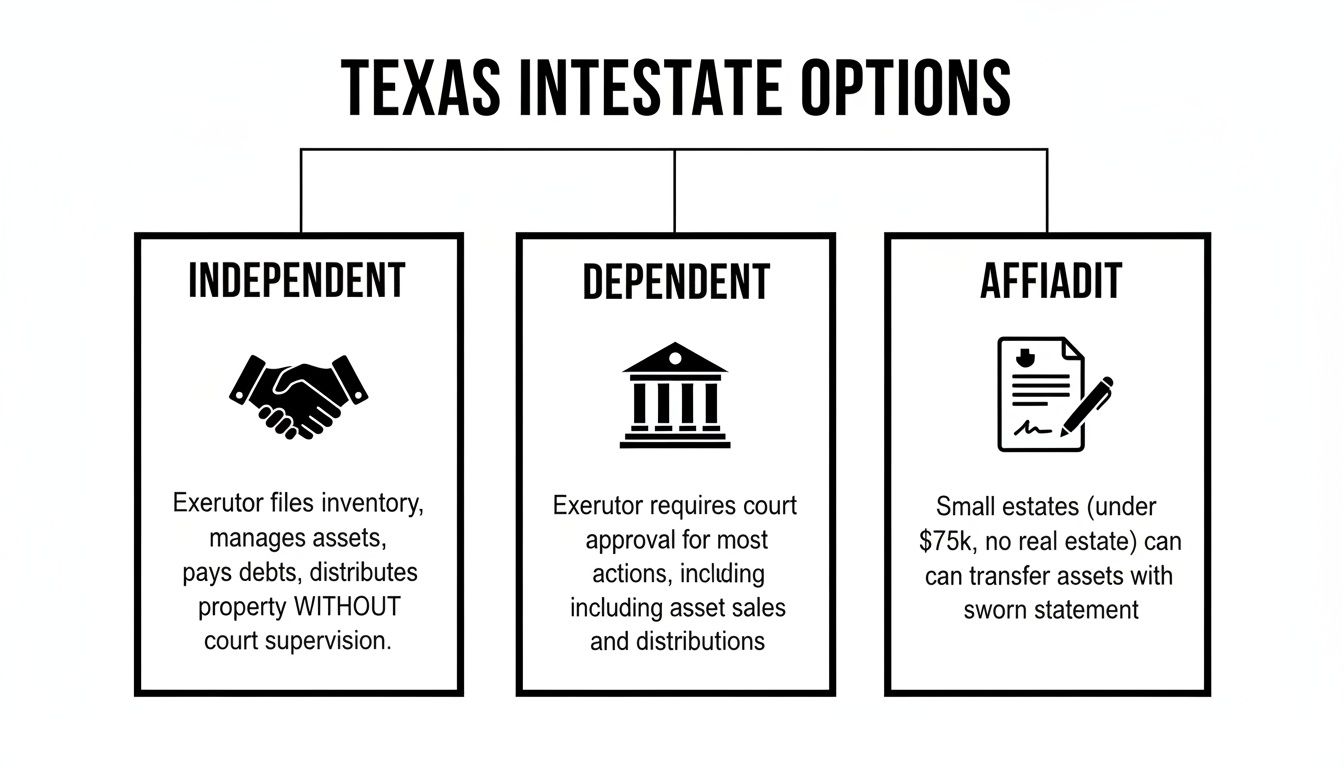 Diagram illustrating Texas intestate options: Independent, Dependent, and Affidavit for estates without a will.