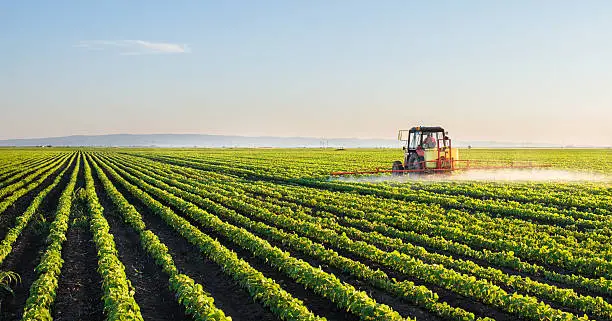 managing real estate during the probate process in texas can be complex, tractor spraying soybean field