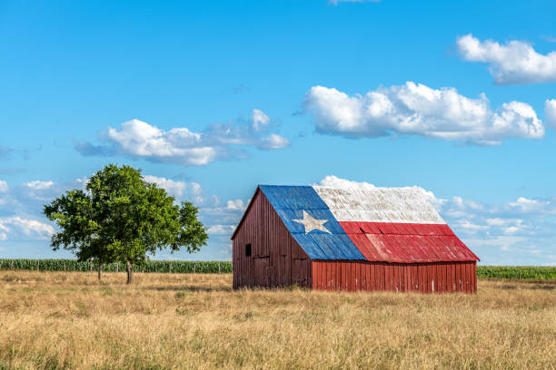 Red barn painted with the Texas flag, surrounded by tall grass and a tree, symbolizing rural property and land ownership issues in Texas probate.