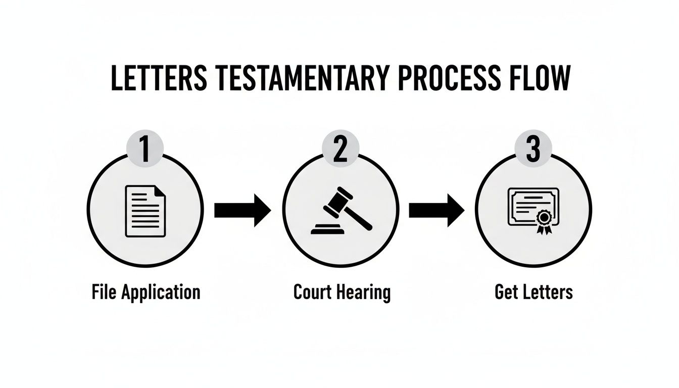A clear three-step process flow for letters testamentary, showing file application, court hearing, and getting letters.